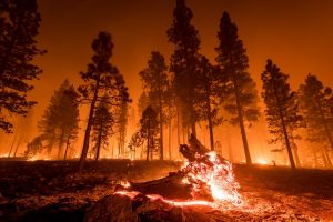 Smoke and Ash Inhalation Often Comes with Catastrophic Burn Injuries